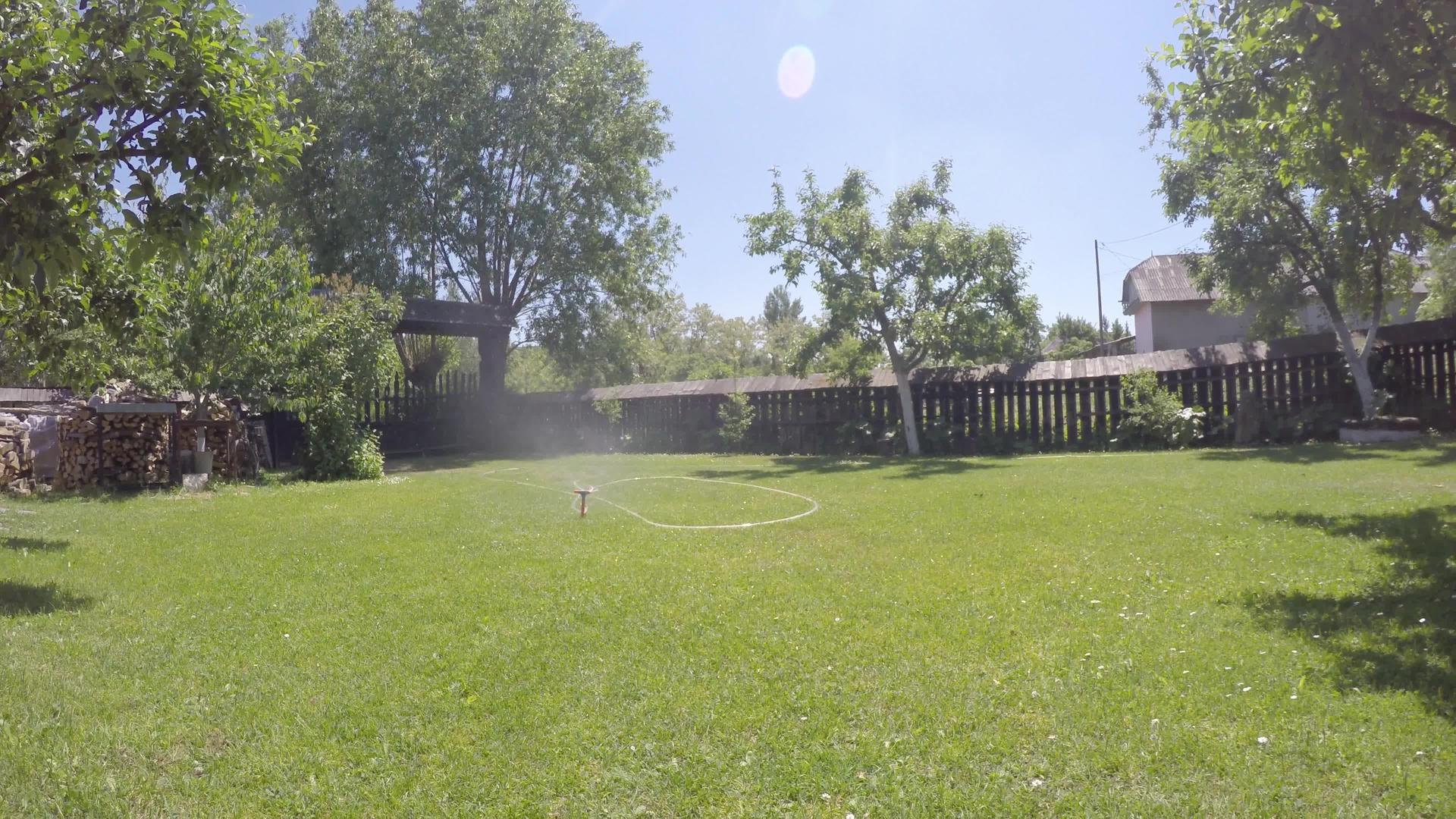 夏夏花园喷水器在新鲜草地上工作视频的预览图