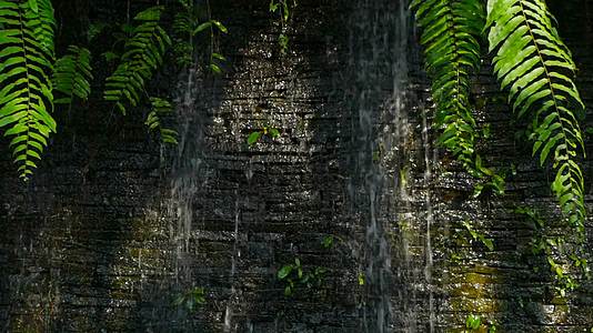 瀑布以绿色植物为背景位于前台视频的预览图
