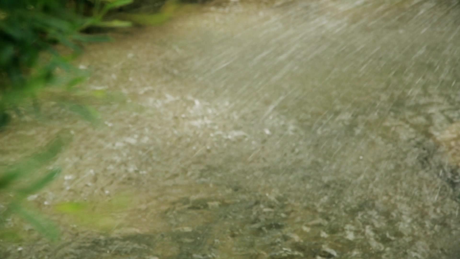 夏季公园喷泉视频的预览图