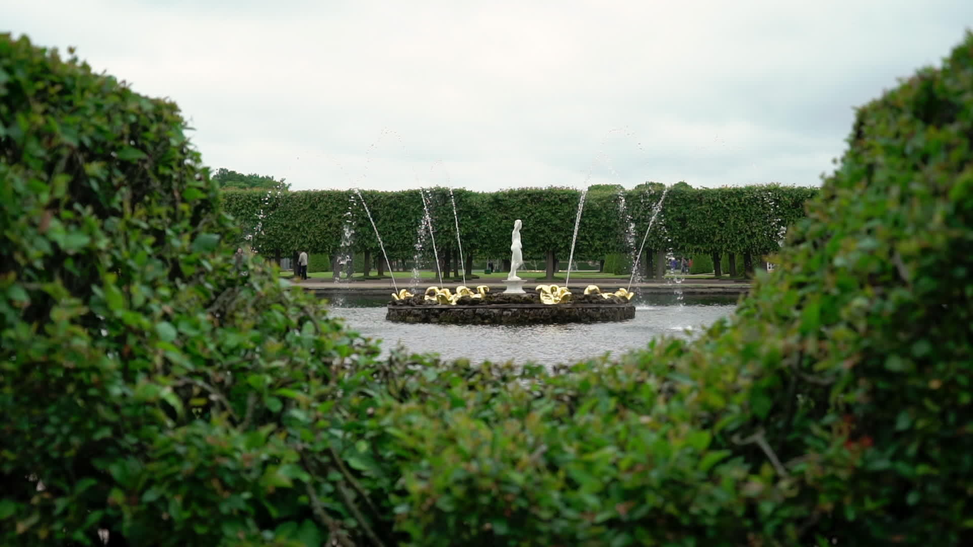 彼得霍夫公园美丽的喷泉视频的预览图