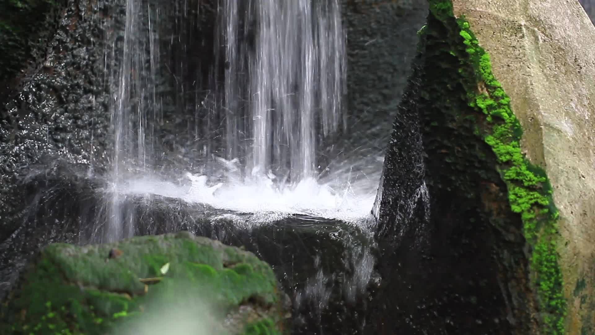 一个小花园瀑布视频的预览图