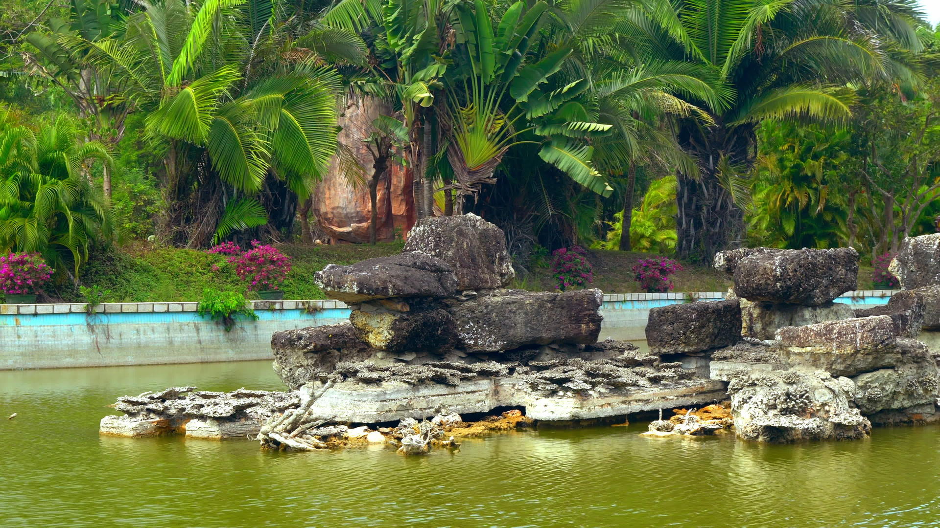 蓝色的游泳池在明亮的植物和鲜花之间有石头视频的预览图