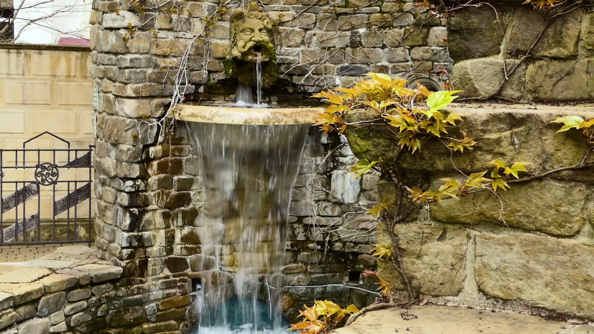 公园瀑布喷泉视频的预览图