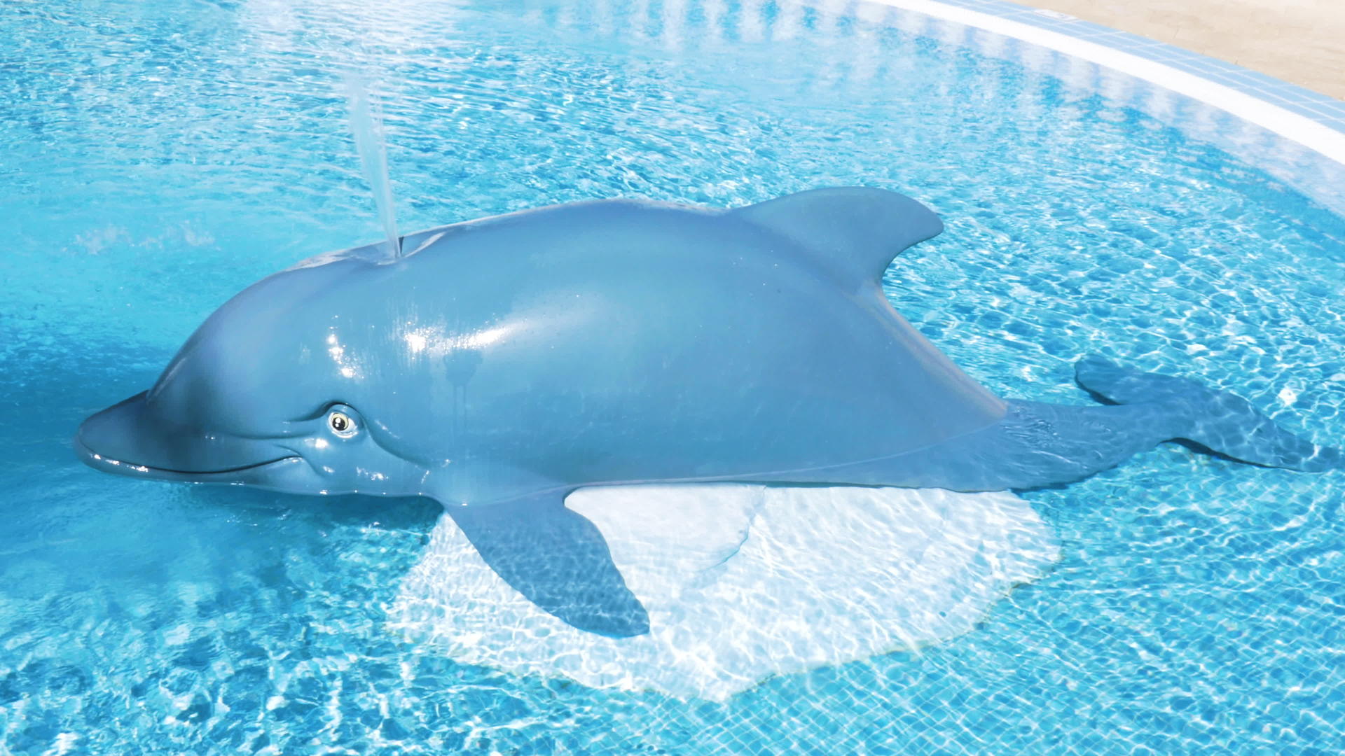 游泳池里的蓝鲸水通过吹孔抽水视频的预览图