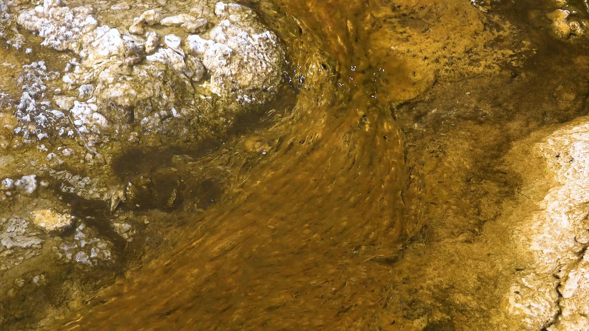 藻类细菌垫视频的预览图