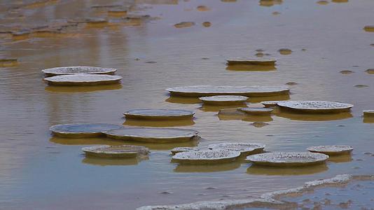 藻类细菌垫黄石国家公园温泉温泉池美国怀俄明州视频的预览图