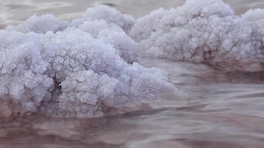 库亚尔尼茨基河口海水嗜盐菌视频的预览图