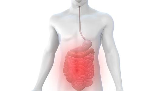 3D人体结构肠胃炎医疗模型视频的预览图