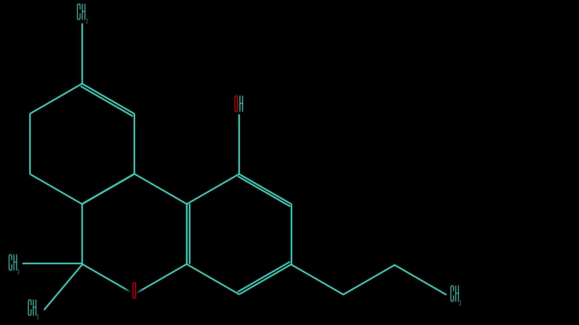 四氢大麻酚分子视频的预览图