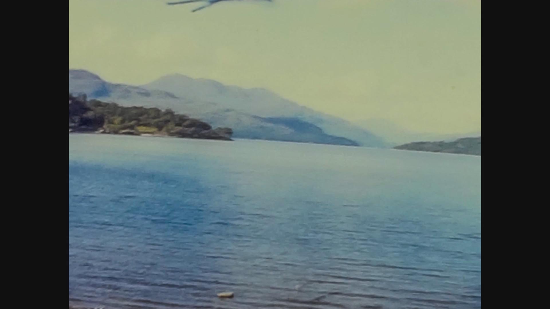 1965年的自然景观视频的预览图