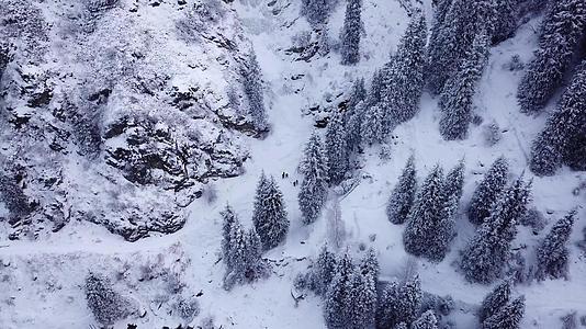 一群人穿过雪地峡谷视频的预览图