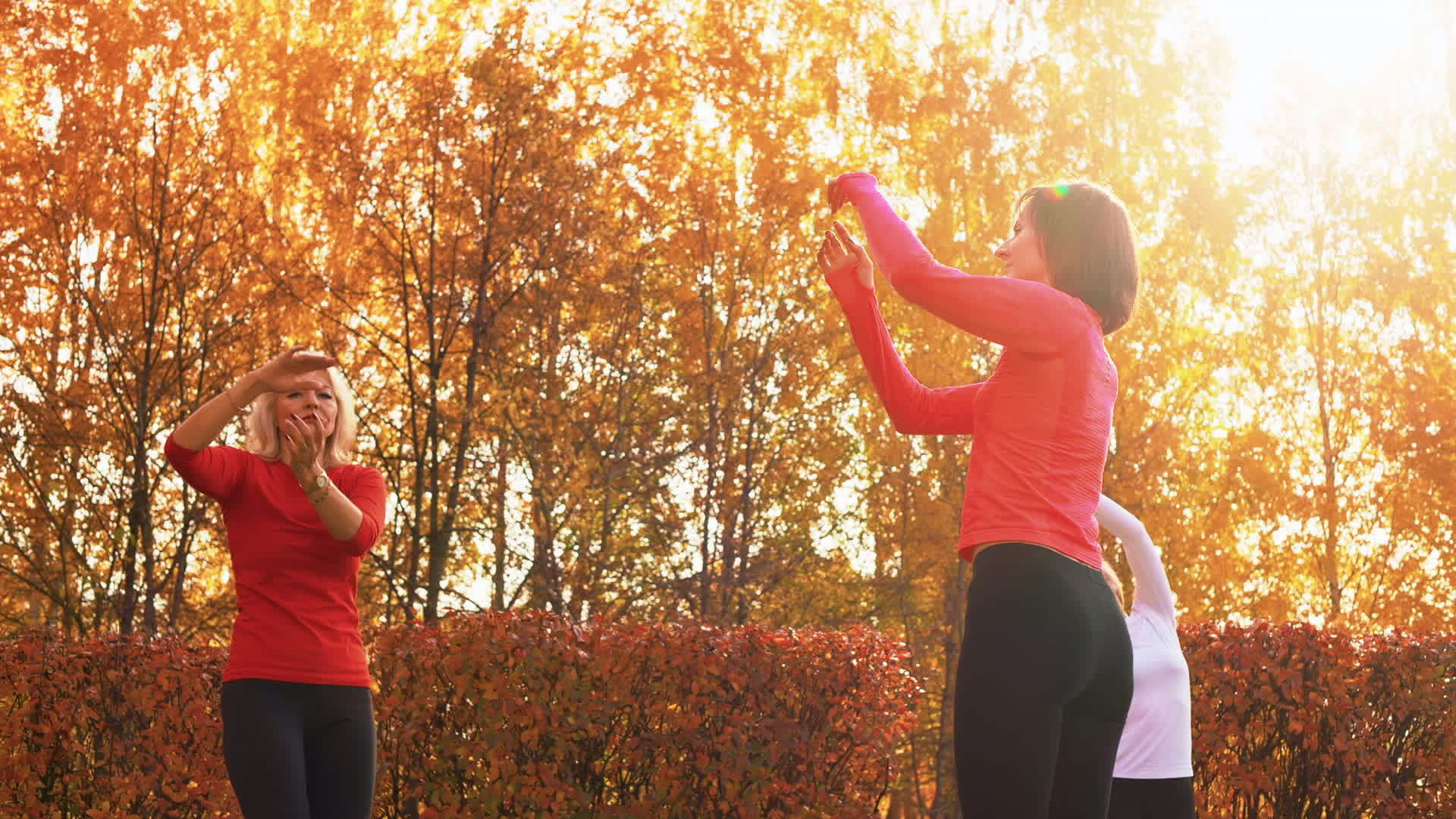 秋季公园集中女性参加运动服舞蹈视频的预览图