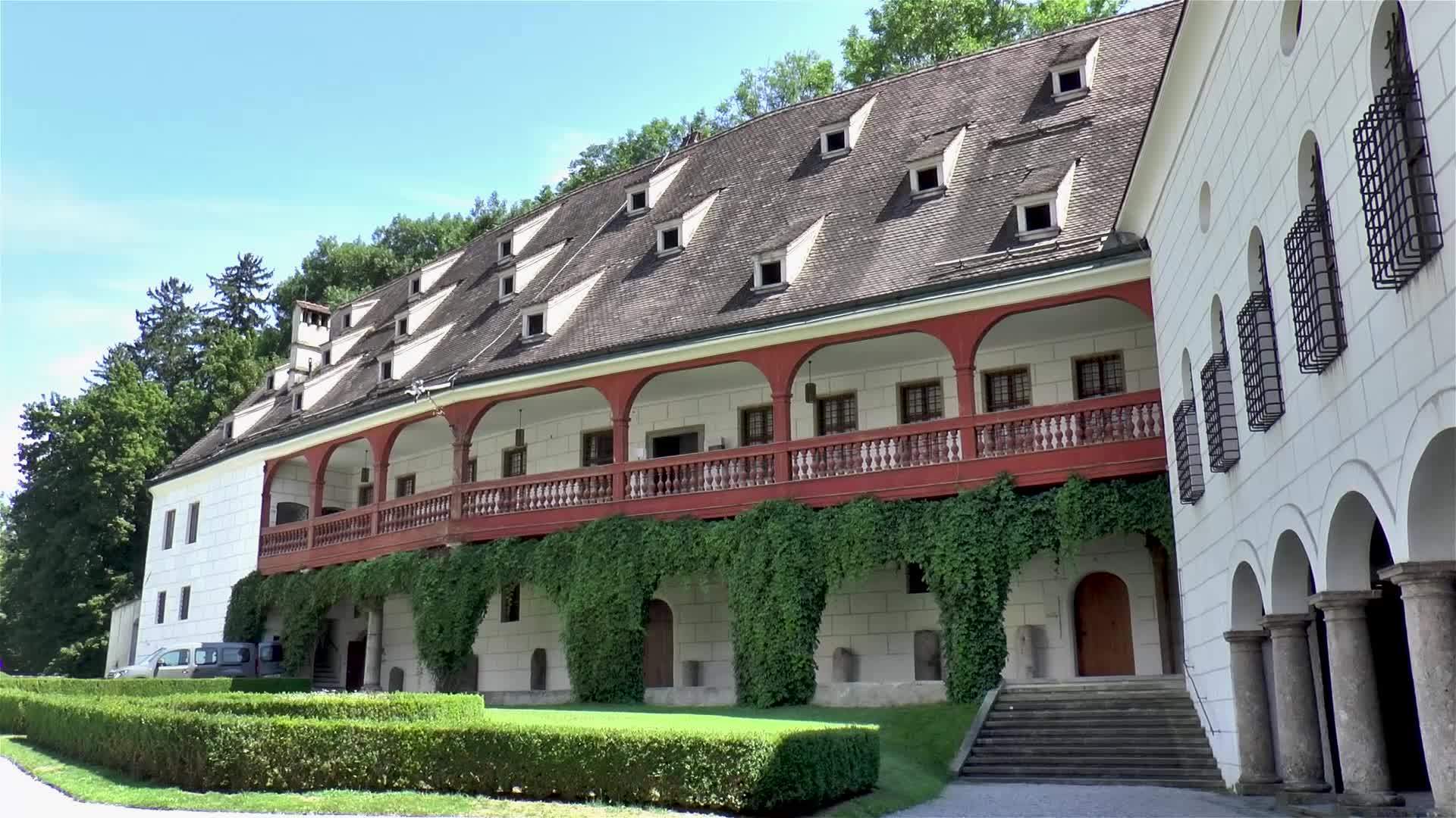 因斯特里亚城堡视频的预览图