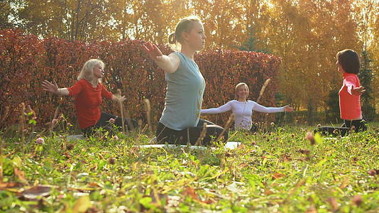 参加公园草地健身运动的妇女视频的预览图