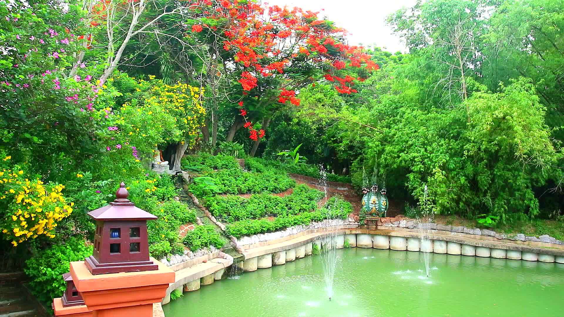 花园花和池塘喷泉视频的预览图