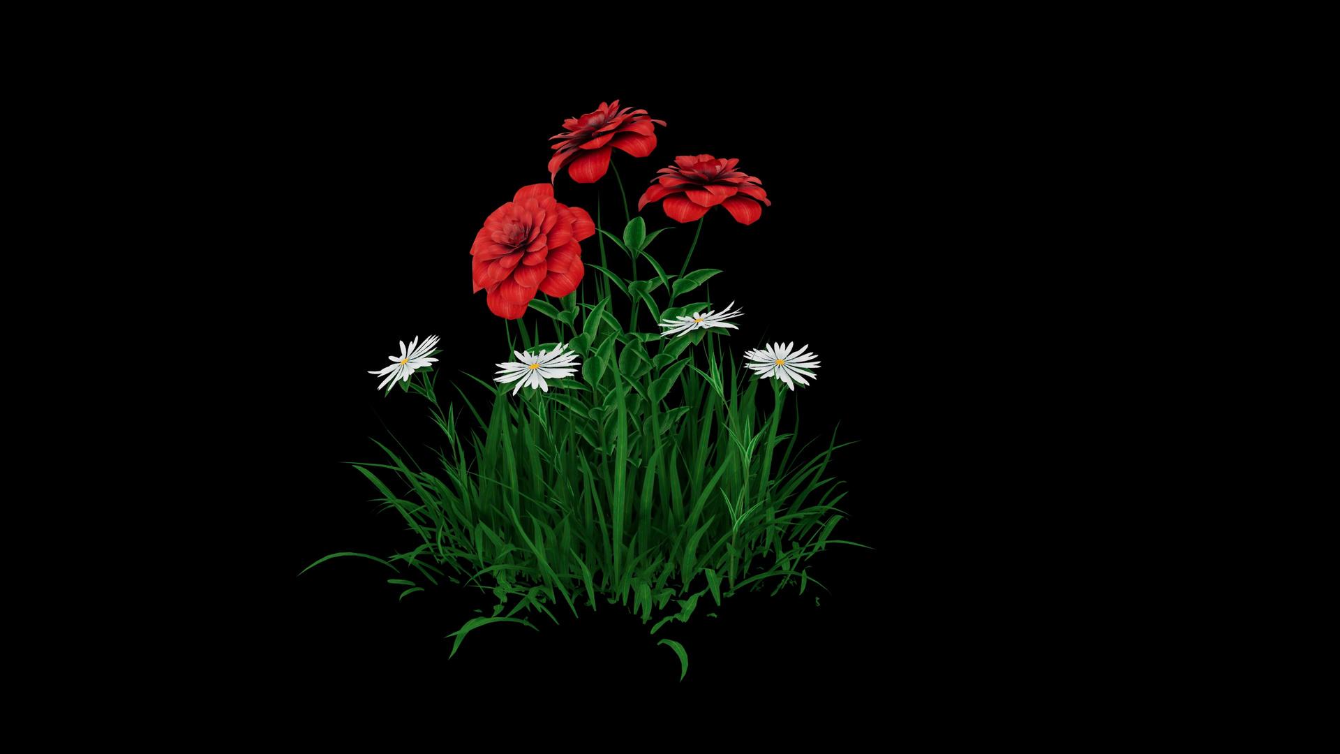 三维玫瑰草地生长风摇摆动动画视频的预览图