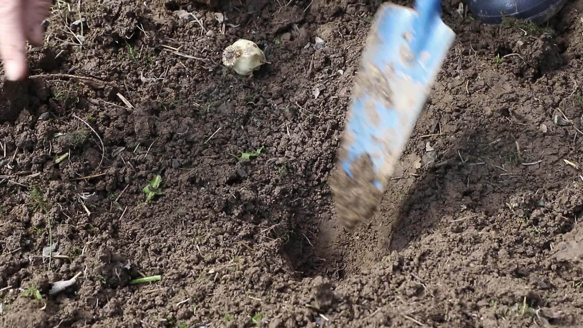 园林施肥视频的预览图