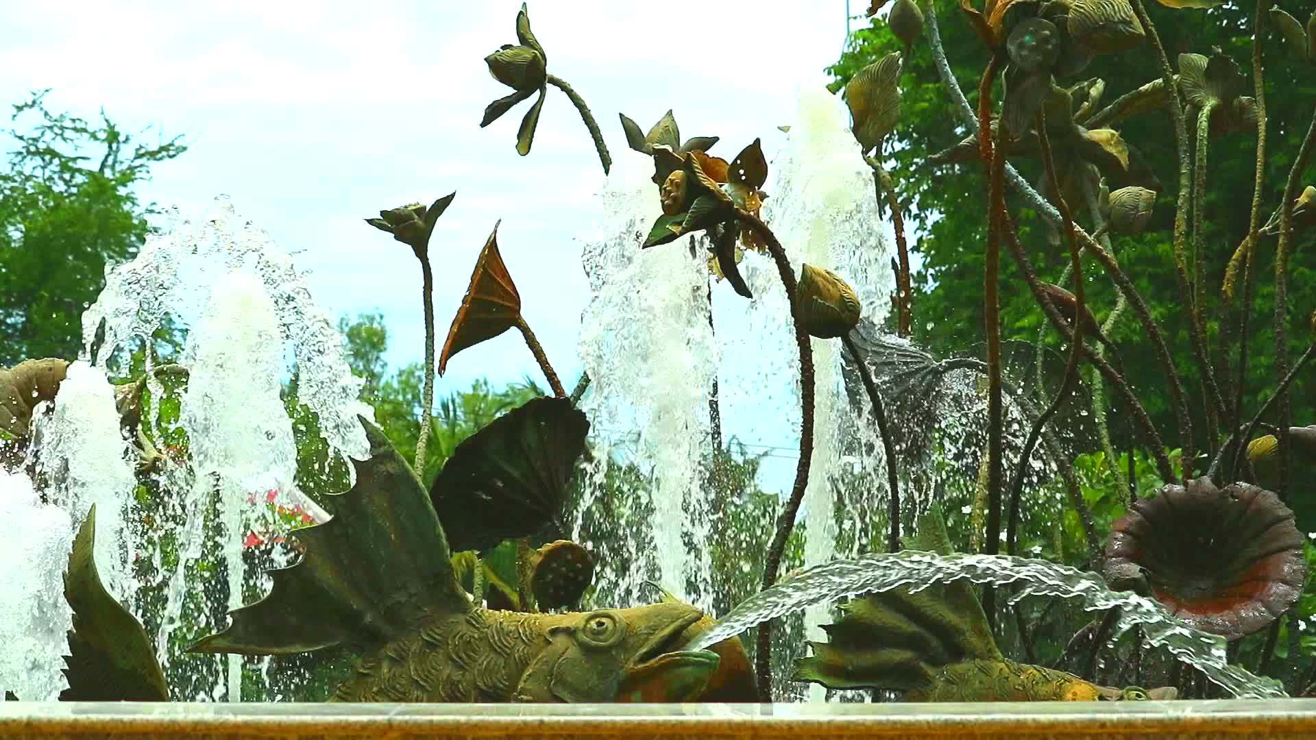 在公共花园里莲花和百合是由铜制成的视频的预览图