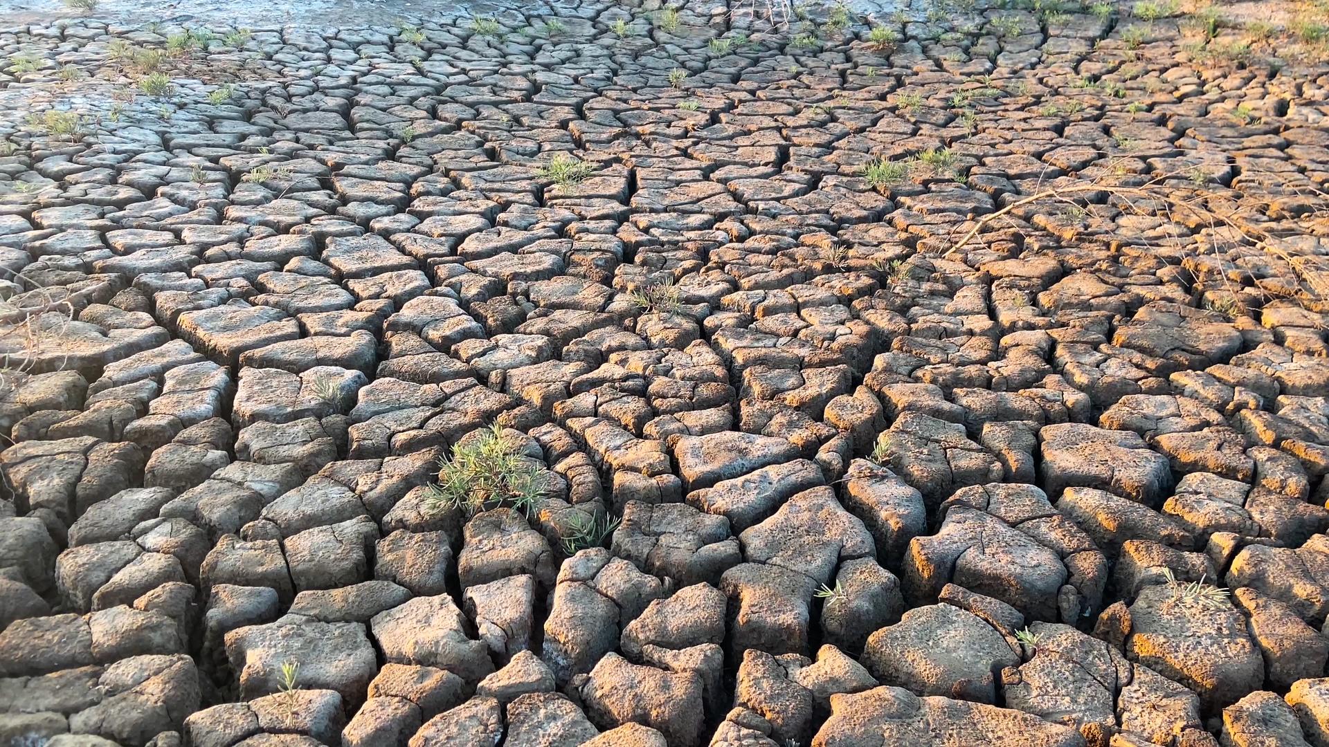 4K土壤干旱裂缝旱涝严重缺水视频的预览图