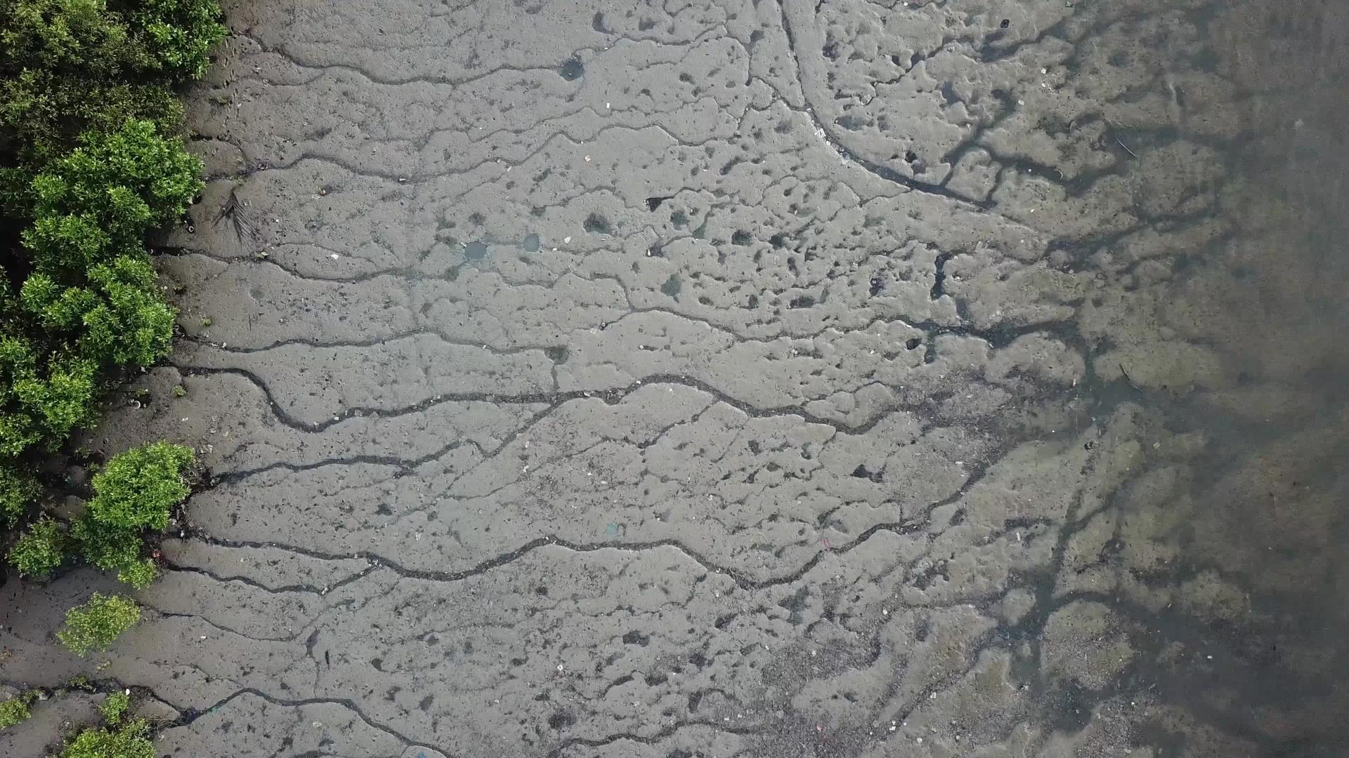 观察北河口的山覆盖海边的泥土视频的预览图