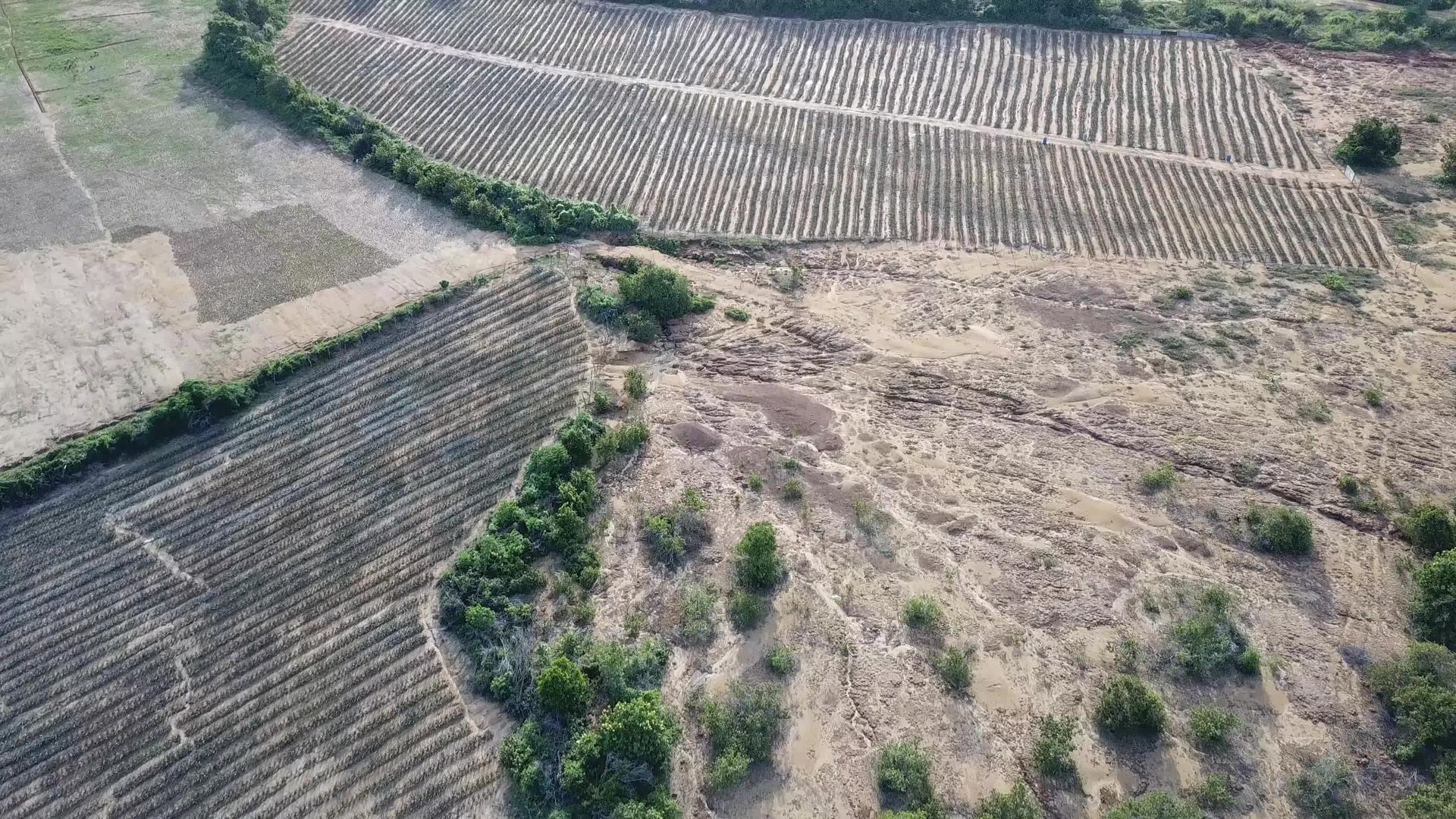 无人飞机在空中观察泥炭视频的预览图