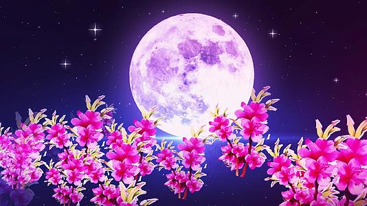 4K动态花丛月亮夜景星星闪烁背景视频视频的预览图