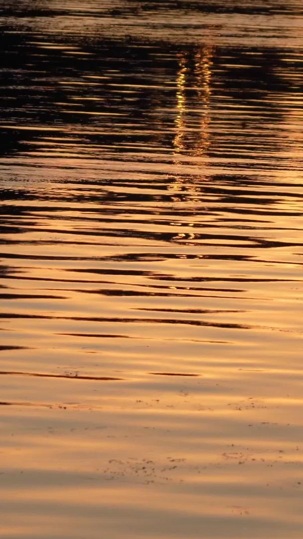 实拍日落湖泊视频的预览图