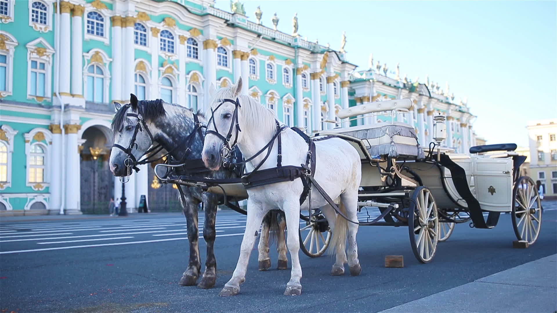 圣彼得斯堡宫殿广场视频的预览图