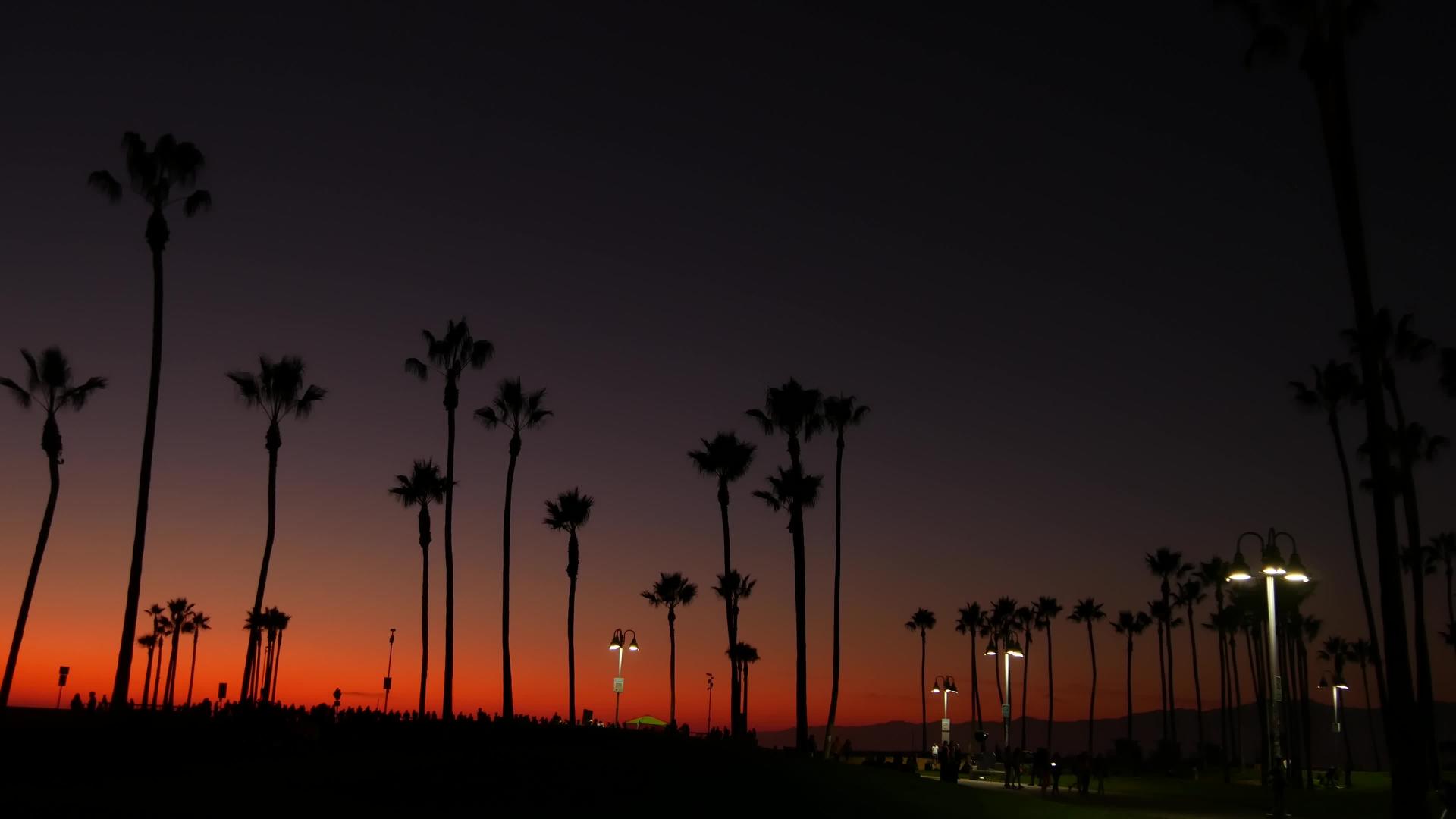 紫色的夕阳棕榈树在夏天的黄昏中像双影一样在著名的静脉海滩上视频的预览图