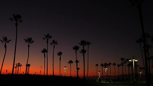 紫色的夕阳棕榈树在夏天的黄昏中像双影一样在著名的静脉海滩上视频的预览图