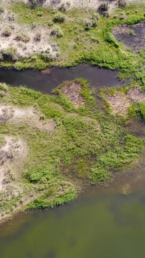 俯视沼泽湿地的航拍视频的预览图