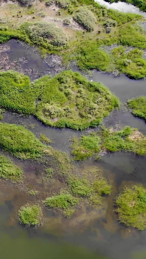 俯视沼泽湿地的航拍视频的预览图