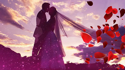 浪漫婚礼电子相册AE模板视频的预览图
