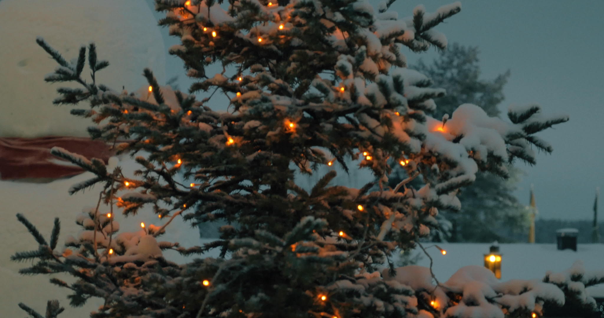圣诞树的夜灯照亮了夜景视频的预览图