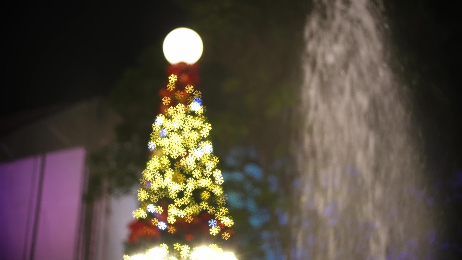 喷泉边的圣诞树闪烁视频的预览图