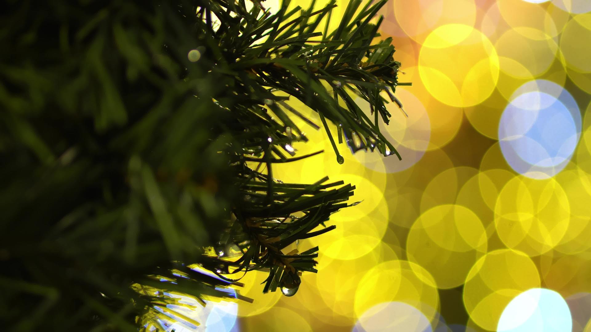 圣诞树有金丁香光视频的预览图