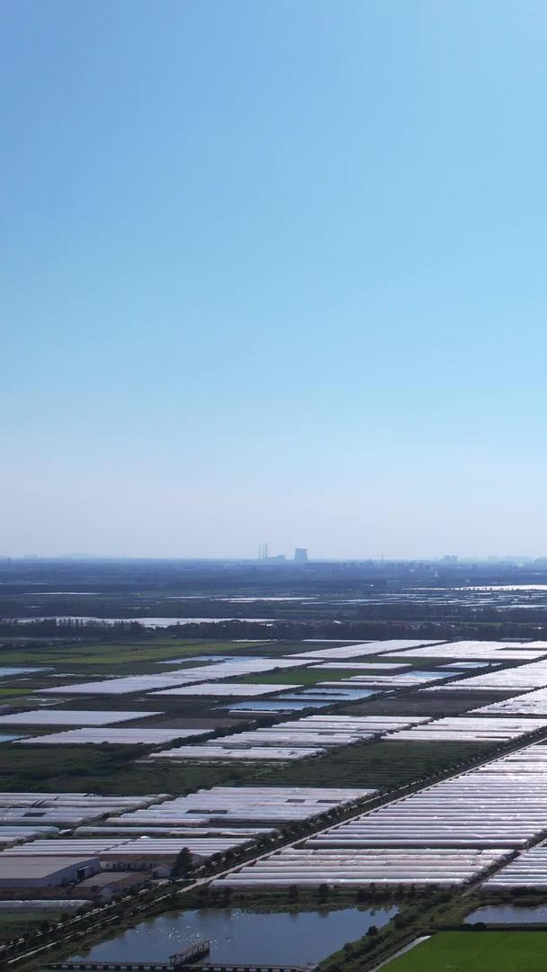 农村航拍农村一望无际的农田稻田大棚养殖农村自然风光素材视频的预览图