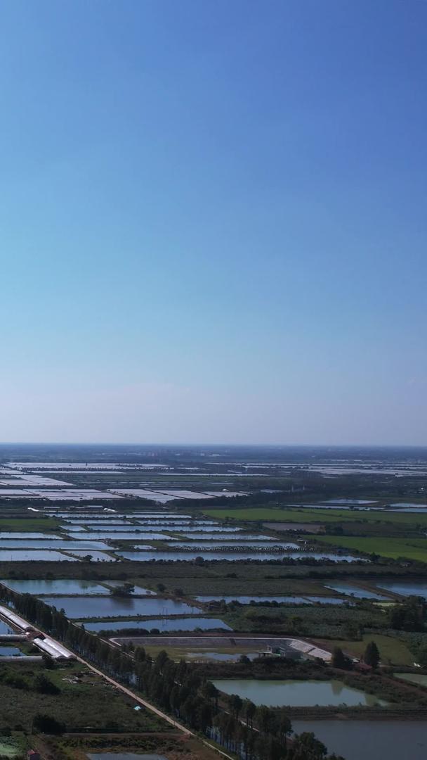 农村航拍农村一望无际的农田稻田大棚养殖农村自然风光素材视频的预览图