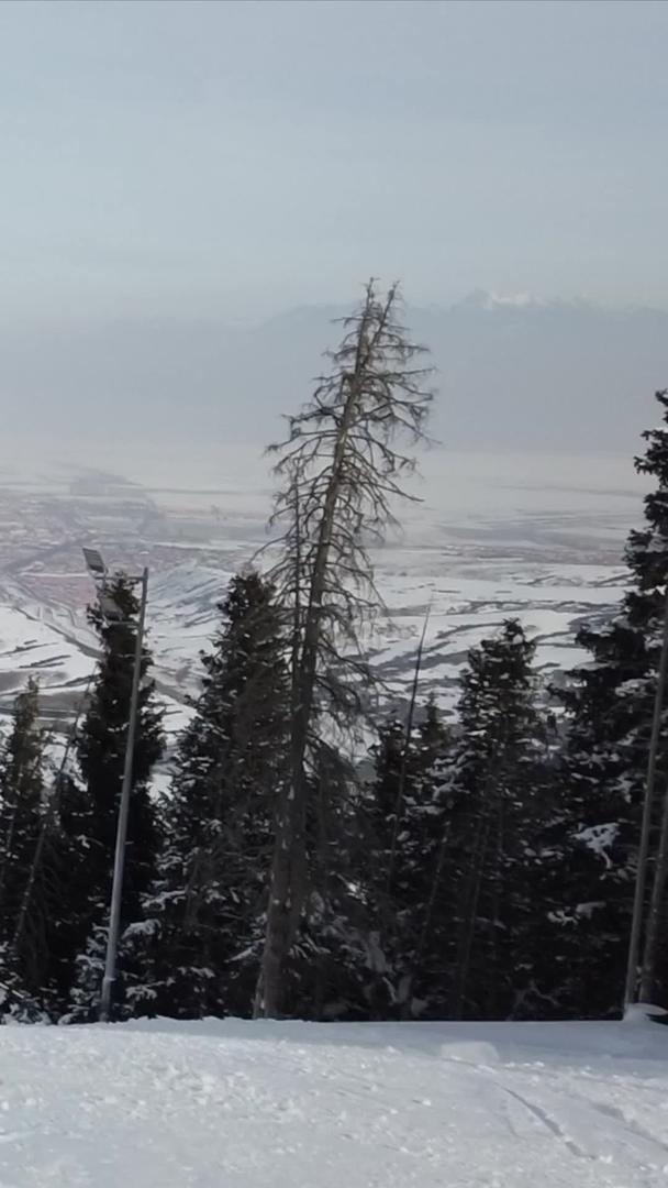 冬季户外运动滑雪视频集合视频的预览图