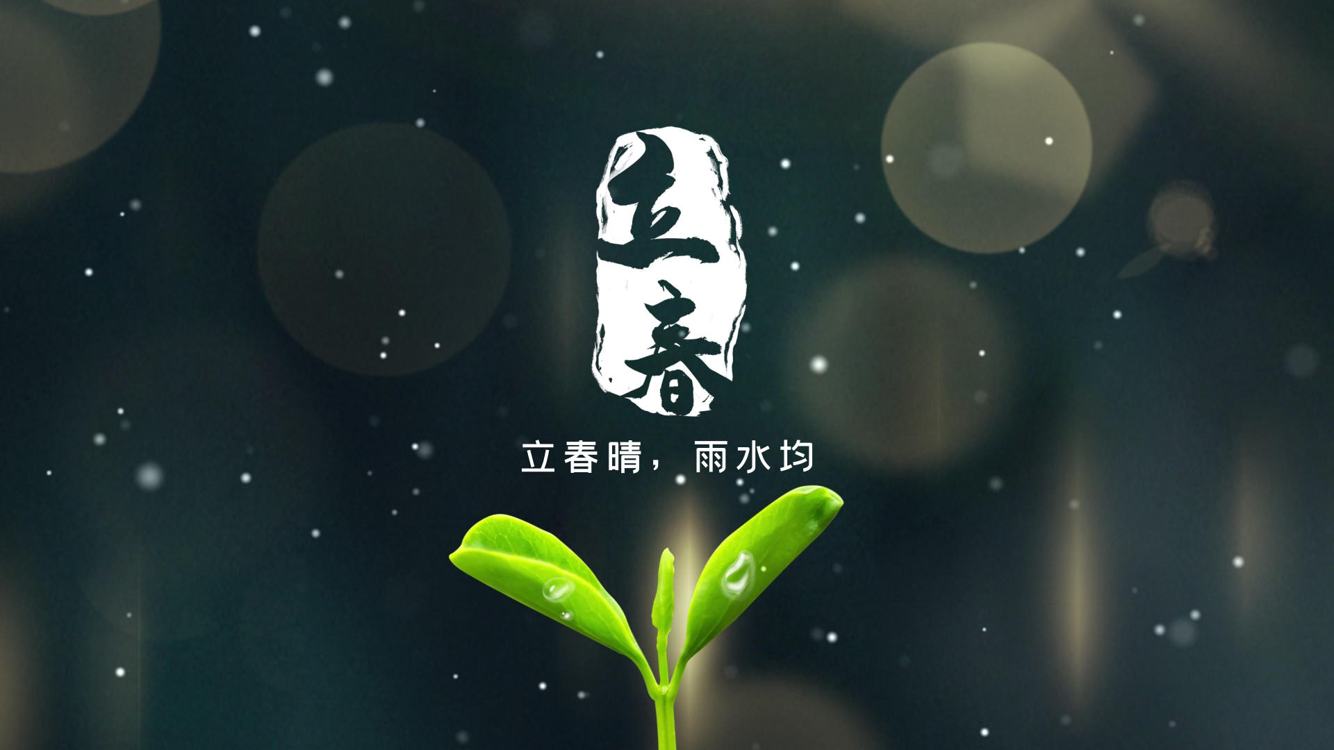 简约中国风立春节气片头展示AE模板视频的预览图