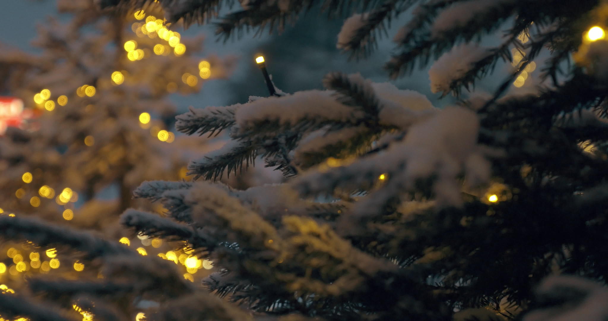 圣诞树上有彩灯视频的预览图