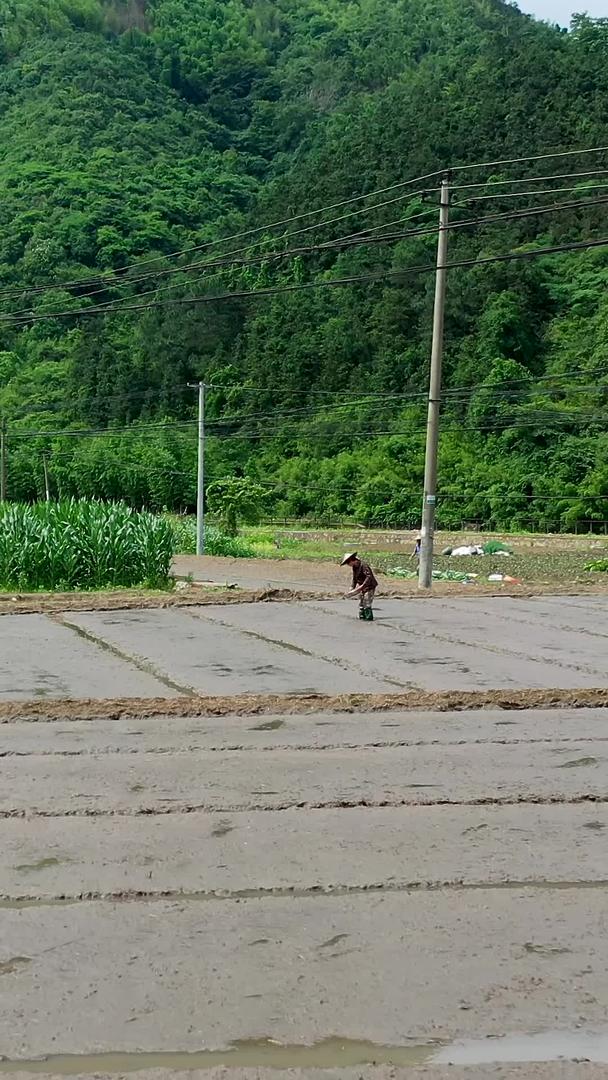 在田野里航拍农民播种收集视频的预览图