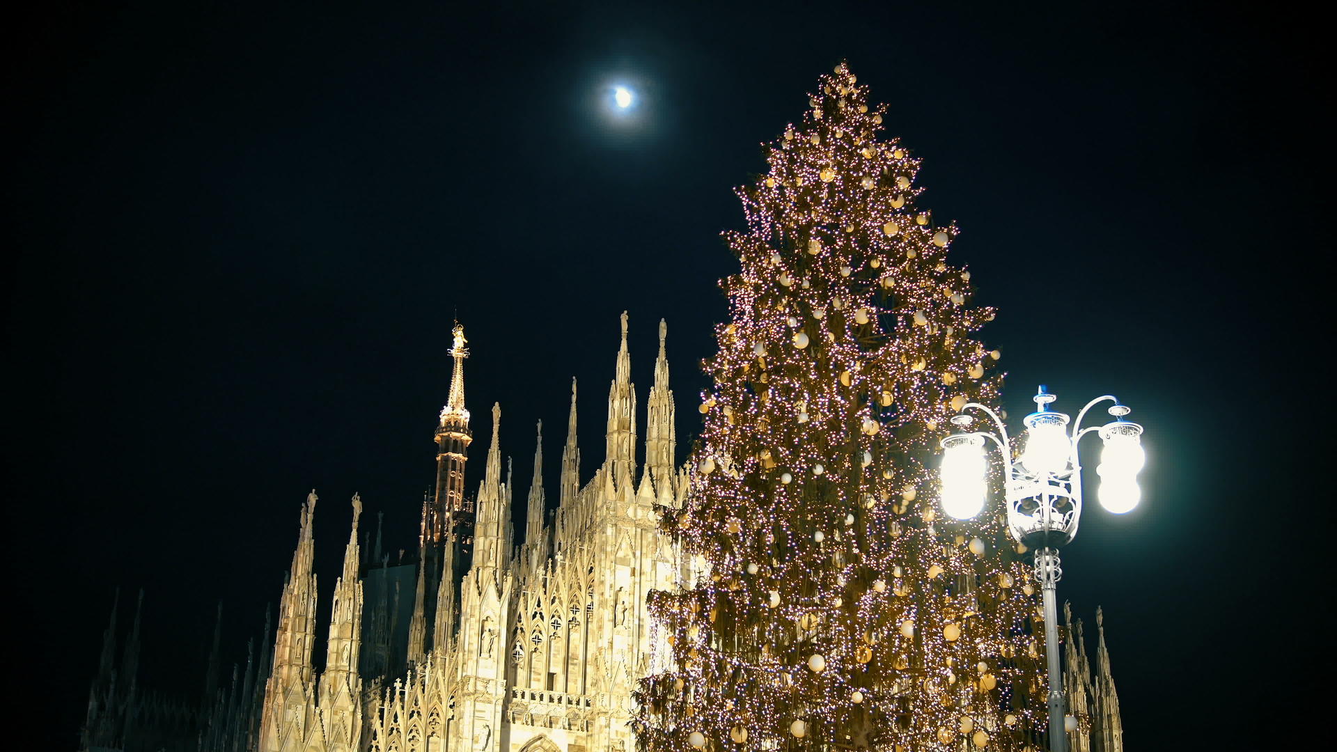 米兰大教堂前的圣诞树意大利的迪奥莫广场视频的预览图