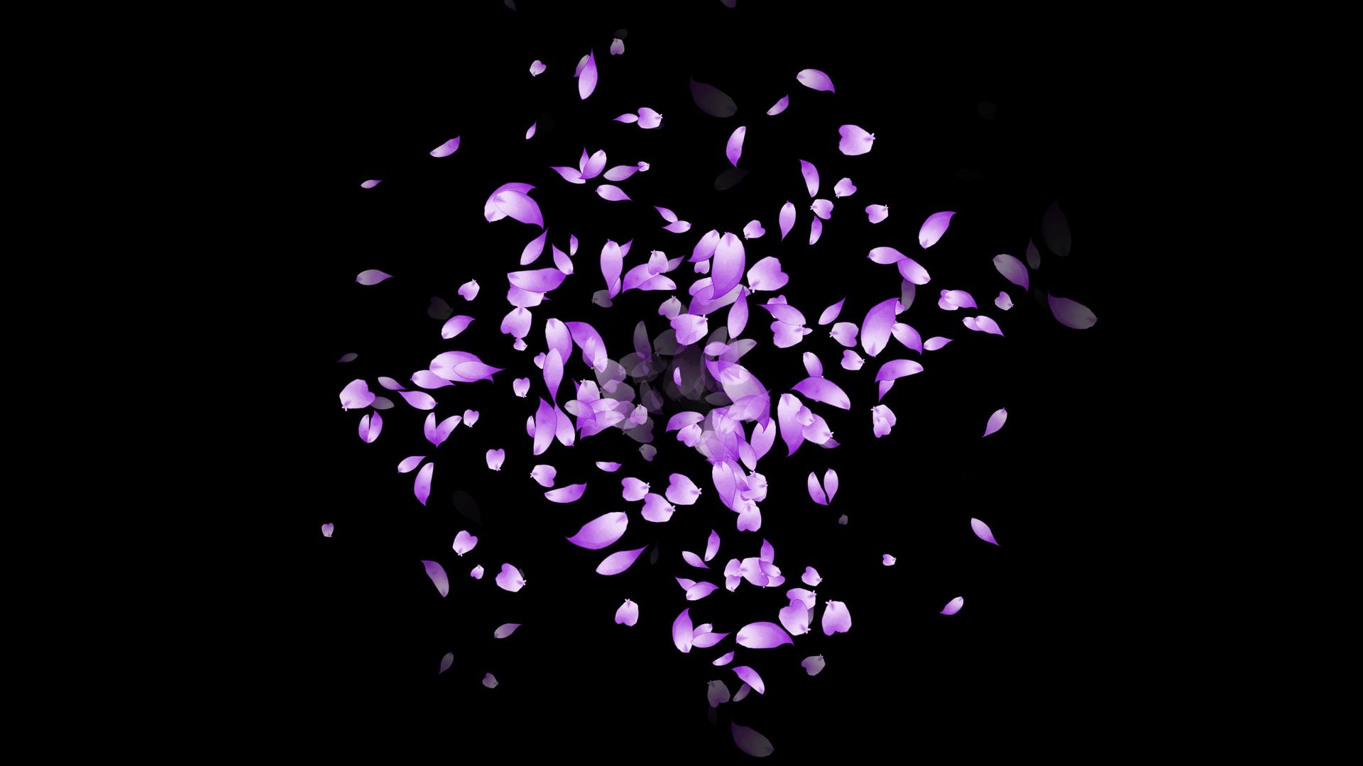 紫色环绕扩散粒子花瓣视频的预览图