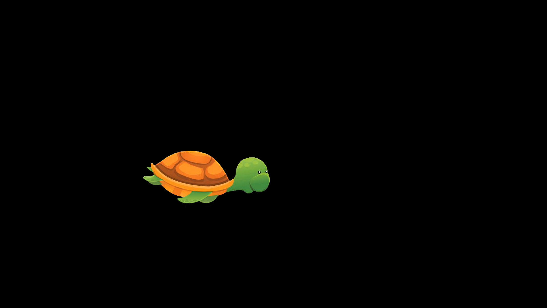 带通道海龟游视频的预览图