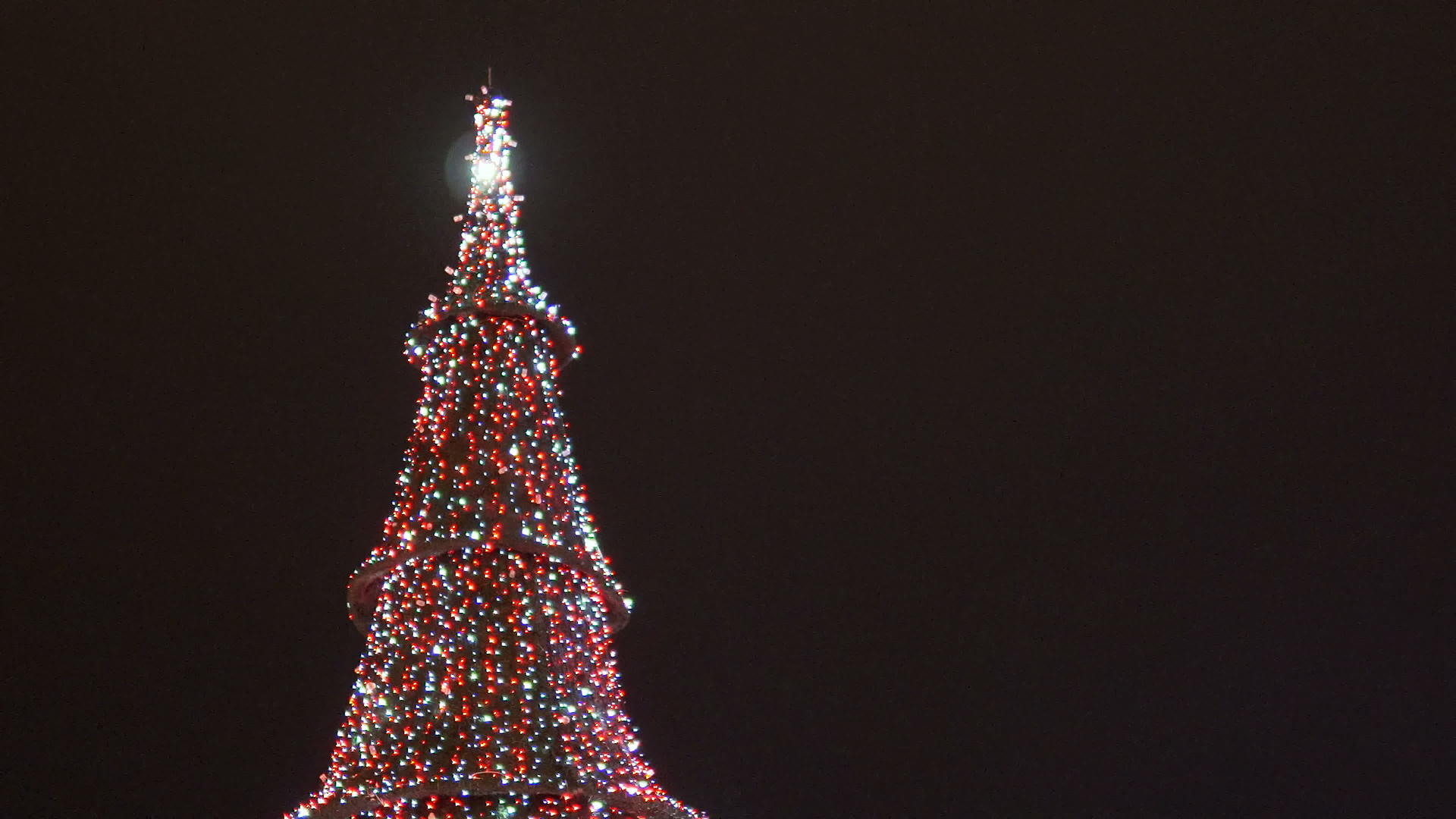 魔法雪覆盖圣诞树夜间户外有多种彩色灯光视频的预览图