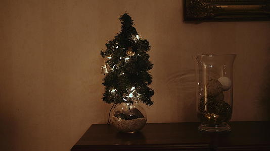带有玻璃花瓶灯的微型圣诞树视频的预览图