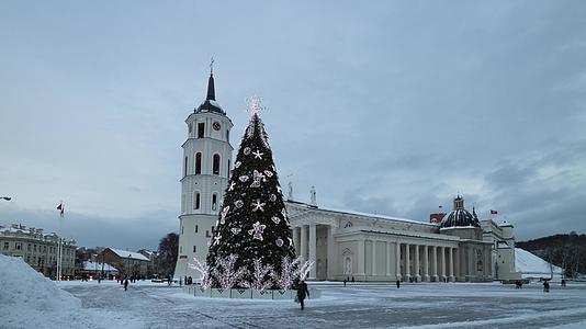圣诞树位于利图尼亚州的教堂广场上vilnius4k视频的预览图