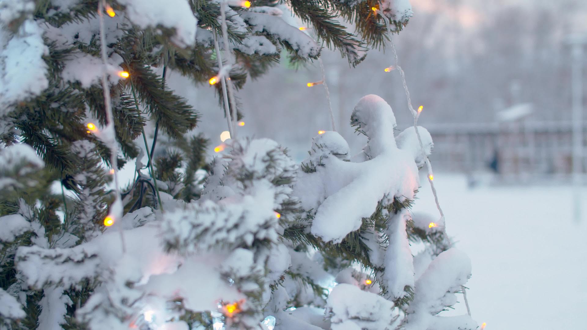 室外下雪的圣诞树视频的预览图
