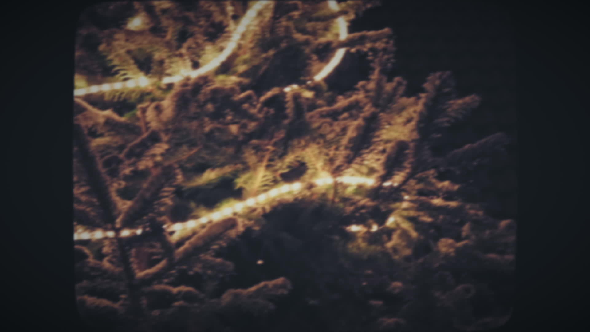 明亮的圣诞树下雪视频的预览图